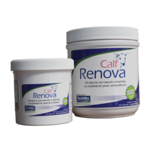 Calf Renova for Beef Calves