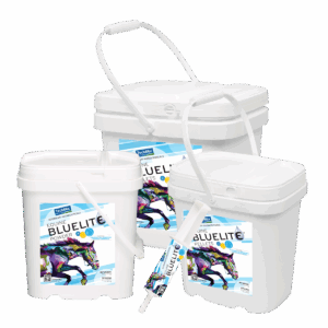 Equine BlueLite® | Effective electrolyte for horses | TechMix
