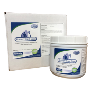 Rumen Yeast Caps for beef
