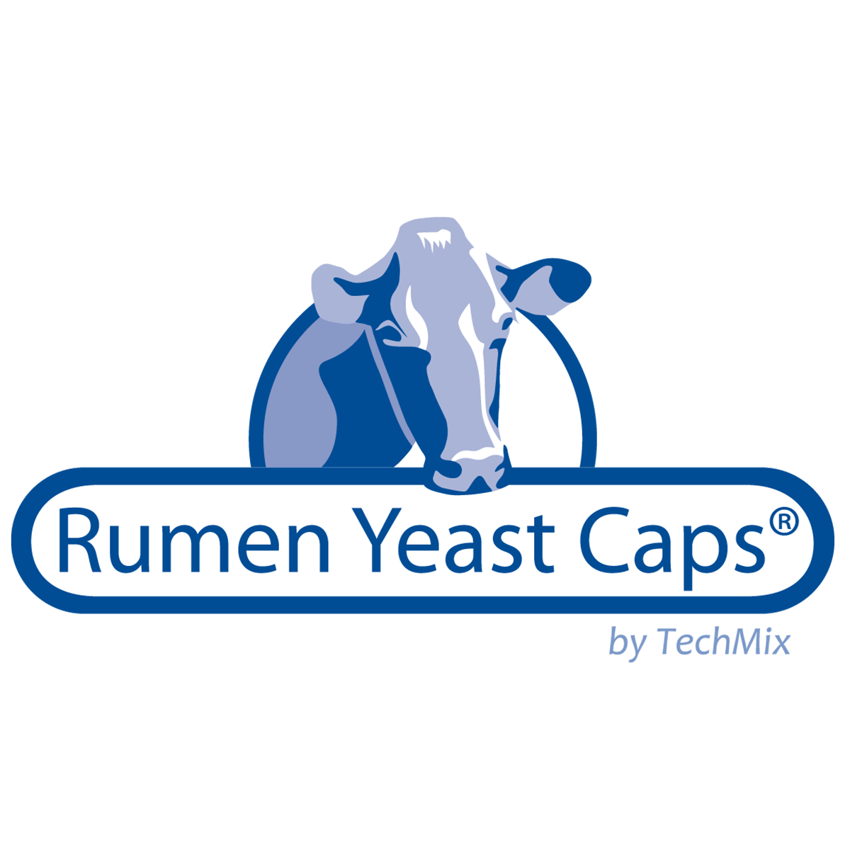 Rumen Yeast Caps_by TechMix Square Rumen Yeast Caps for beef - Image 2