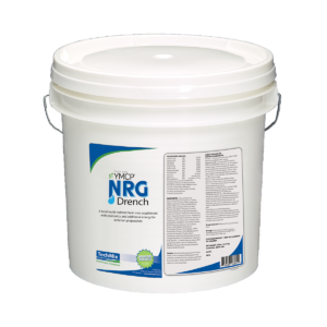 Fresh Cow YMCP® NRG Drench