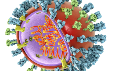 AvianInfluenza-400x400